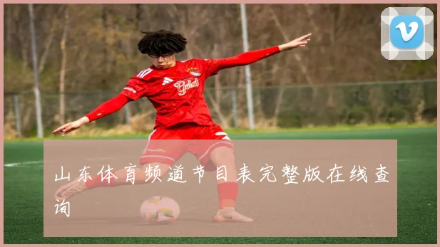 山东体育频道节目表完整版在线查询