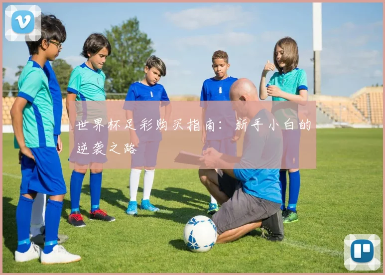 世界杯足彩购买指南：新手小白的逆袭之路