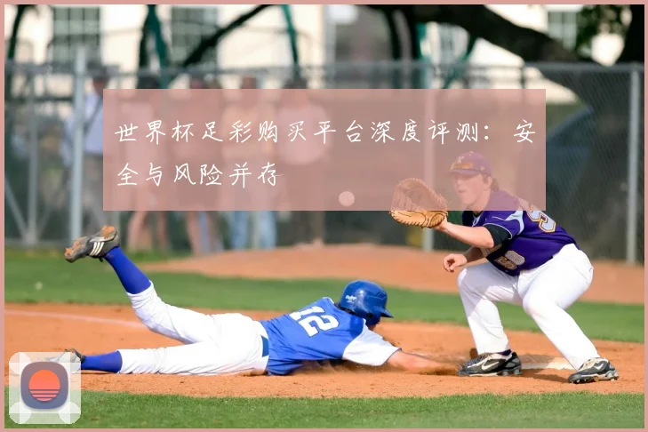 世界杯足彩购买平台深度评测：安全与风险并存