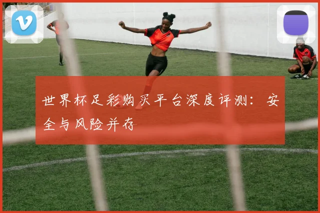 世界杯足彩购买平台深度评测：安全与风险并存