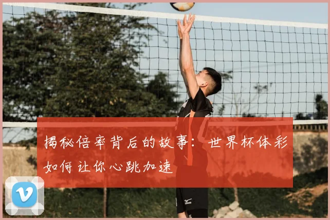 揭秘倍率背后的故事：世界杯体彩如何让你心跳加速